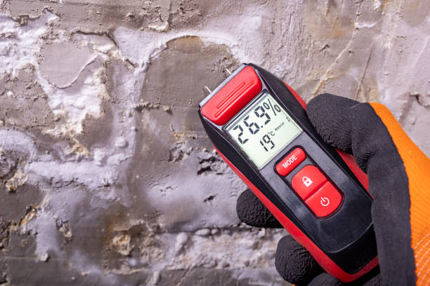 Best Kitchen Mold Remediation in Redway, CA